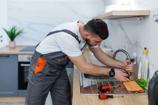 Best Local Plumber Services  in Peridot, AZ