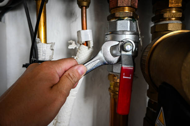 Best Clogged Drain Plumber  in Peridot, AZ
